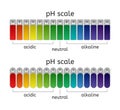 Vector ph scale