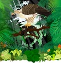 Vector philippine Eagle with monkey in jungle rainforest Royalty Free Stock Photo