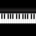 Vector piano keyboard