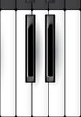 Vector piano keyboard illustration