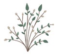 Vector picture of bush with buds and leaves. Little shrub isolated on white background. Flat spring garden illustration. Gardening Royalty Free Stock Photo