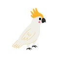 Vector picture of cute cartoon cockatoo isolated on white background