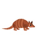 Vector illustration of cute cartoon armadillo isolated on white background.