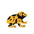 Vector illustration of cute yellow banded poison dart frog isolated on white background.