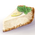 Vector piece of cheesecake cake with airy and tender, delicate creamy cheese-cream. Crisp and crumble cake with back. Ripe lemon