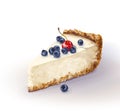 Vector piece of cheesecake cake with airy and tender, delicate creamy-curd cheese. Crisp and crumble cake with back
