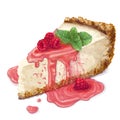 Vector piece of cheesecake cake with airy and tender, delicate creamy-curd cheese. Crisp and crumble cake with back