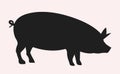 Vector pig silhouette side retro vintage template. Pork animal icon background. Pig farm