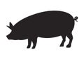 Vector pig silhouette side retro vintage template. Pork animal icon background. Pig farm