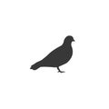 Vector pigeon silhouette icon on white in flat