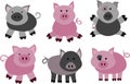 Vector pigs and boars Royalty Free Stock Photo