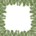Vector pine frame. Vector Christmas tree branches. Realistic fir