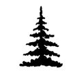 Vector pine tree black silhouette isolated on white Royalty Free Stock Photo