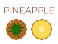 Vector of Pineapple, Ananas and sliced half of Pineapple, Ananas on white background