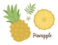 Vector pineapple clip art. Jungle fruit illustration. Hand drawn flat exotic plants isolated on white background. Bright childish Royalty Free Stock Photo