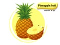 Vector Pineapple fruit isolated on color background,illustrator 10 eps Royalty Free Stock Photo