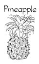 Vector Pineapple Vegetarian healthy treating hand drawn illustration. Use for bar, cocktail, flyer, banner, store