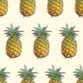 Vector pineapples hand drawn sketch. Vector seamless pattern