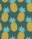 Vector pineapples hand drawn sketch. Vector seamless pattern