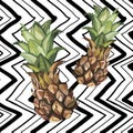 Vector Pineapples hand drawn sketch. Watercolor vector tropical food illustration. Geometric background.