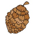 Vector pinecone icon, pinecone doodle