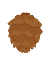 Vector pinecone on a white background. Cone from a tree in cartoon style.