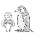 Vector pinguin set for adult coloring page. Hand drawn cute ping