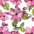 Vector Pink Apple blossom floral botanical flower. Engraved ink art. Seamless background pattern. Royalty Free Stock Photo