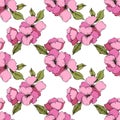 Vector Pink Apple blossom floral botanical flower. Engraved ink art. Seamless background pattern. Royalty Free Stock Photo