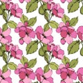 Vector Pink Apple blossom floral botanical flower. Engraved ink art. Seamless background pattern. Royalty Free Stock Photo