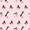 Vector pink background ocean seabird, arctic birds, puffins. Seamless pattern background Royalty Free Stock Photo