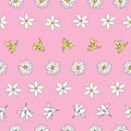 Vector pink background white yellow lemony floral seamless pattern. Daisies, Lilies. Seamless pattern background