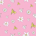 Vector pink background white yellow lemony floral seamless pattern. Daisies, Lilies. Seamless pattern background