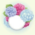 Vector of pink, blue and violet hydrangea background