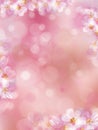 Vector pink, bokeh, floral background. Royalty Free Stock Photo