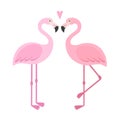 Vector Pink Flamingos Illustration.
