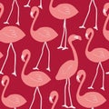 Vector Pink Flamingos seamless pattern design. Perfect for fashion and textiles project. Royalty Free Stock Photo