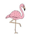 Vector pink hand drawn sketch doodle flamingo