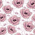 Vector pink poppy flowers on white background. Hand drawn seamless pattern. Wild flowers color illustration. Floral texture. Royalty Free Stock Photo