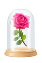 Vector pink rose, glass flask