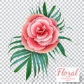 Vector pink rose on a transparent background. Flower bouquet. De Royalty Free Stock Photo