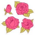Vector pink roses set. Hand drawn cartoon flowers. Royalty Free Stock Photo
