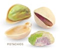 Vector pistache nuts without shell. Realistic 3d kernel. Green pistachio isolated on white background. Royalty Free Stock Photo