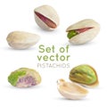 Vector Pistachio kernel. Realistic green nuts background. Pistachios nuts isolated on white. Royalty Free Stock Photo