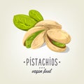 Vector pistachios icon on background. Realistic nut with leaves and seeds. Royalty Free Stock Photo