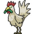 Vector pixel art chicken eat worm