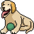 Vector pixel art dog play ball Royalty Free Stock Photo