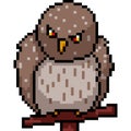 Vector pixel art fat owl Royalty Free Stock Photo
