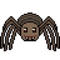 Vector pixel art spider