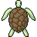 Vector pixel art turtle stand back